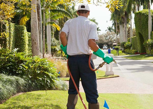 About Darien CT Pest Control